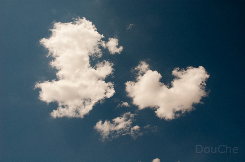 Ed -DSC_0032.jpg